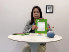 রঙিন প্রলিপ্ত Ral9003 সাদা প্রিপেইন্টেড স্টিল কয়েল চাইনিজ সরবরাহকারী